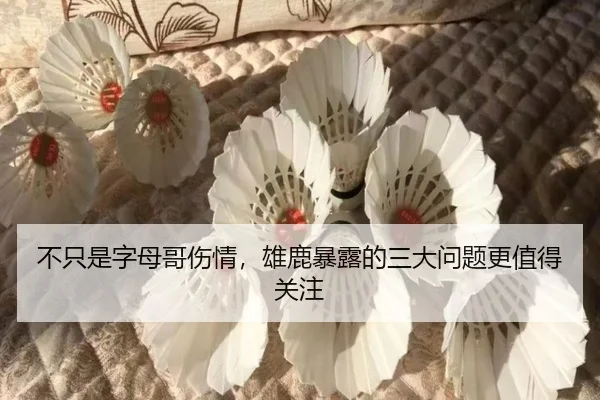 不只是字母哥伤情，雄鹿暴露的三大问题更值得关注