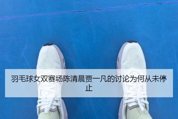 yu-mao-qiu-nv-shuang-sai-chang-chen-qing-chen-jia-yi-fan-de-tao-lun-wei-he-cong-wei-ting-zhi-2-256.jpg